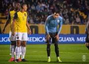 半岛体育官方登录入口-包含匈牙利-战平克罗地亚，晋级形势渺茫的词条