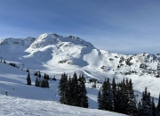 半岛体育app下载地址-包含加拿大滑雪运动员出众表现，摘金夺冠的词条