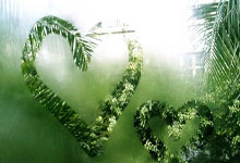 半岛体育网站入口-荷兰女足甲级联赛决赛震撼落幕：海牙队逆袭夺冠引发热潮